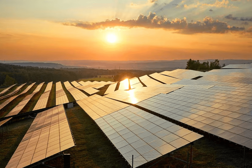 imagen_2024-12-02_113136375