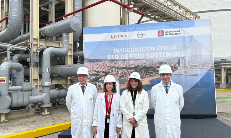 imagen_2024-12-02_113357641