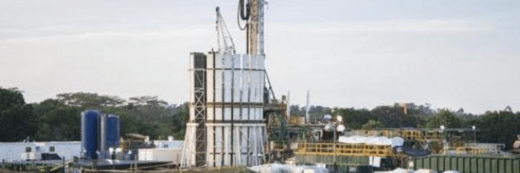 imagen_2024-12-06_205800398