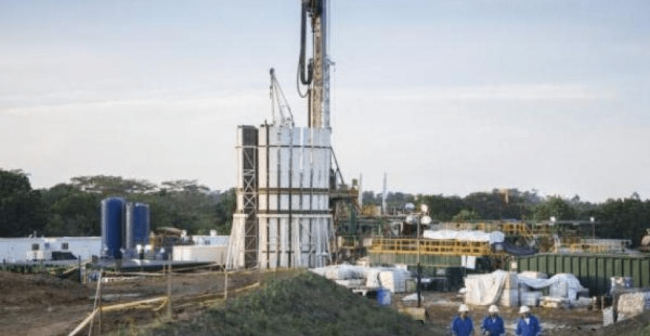 imagen_2024-12-06_205800398