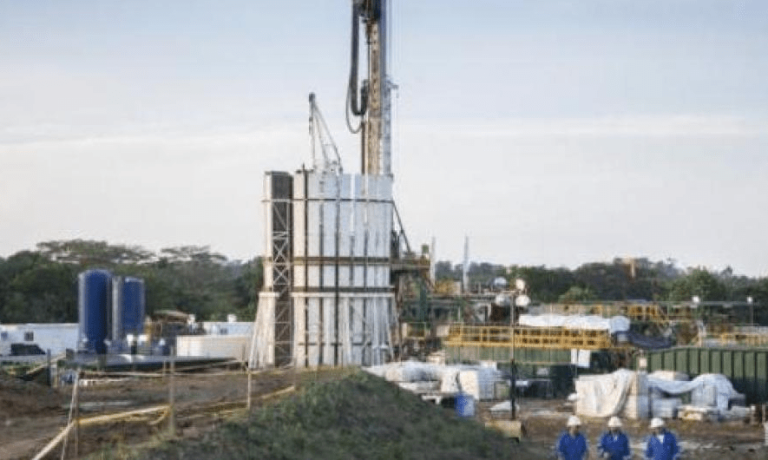 imagen_2024-12-06_205800398