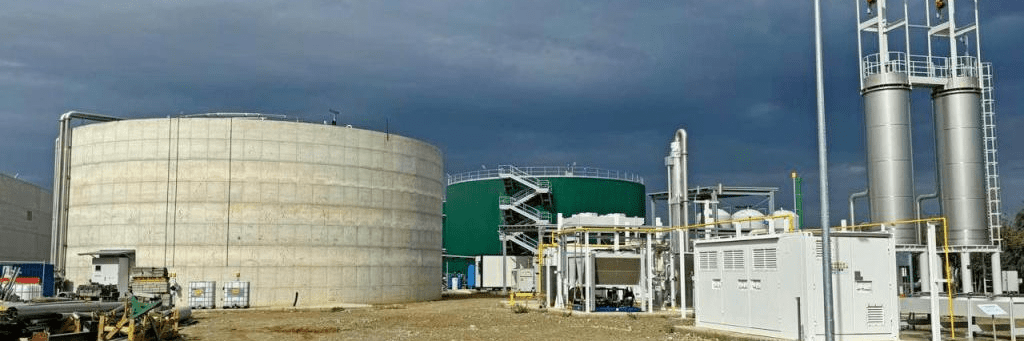 imagen_2024-12-16_100835438