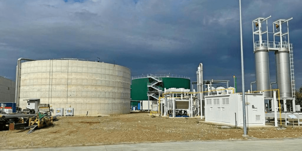 imagen_2024-12-16_100835438