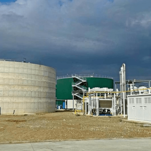 imagen_2024-12-16_100835438