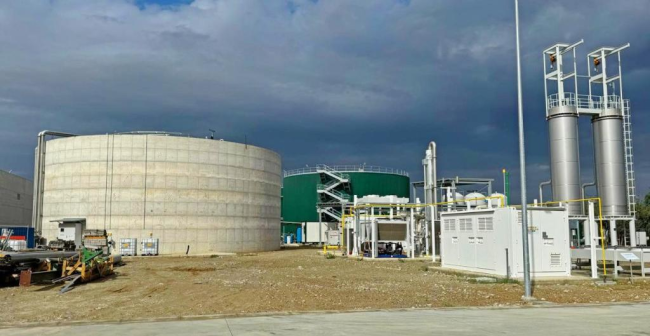 imagen_2024-12-16_100835438