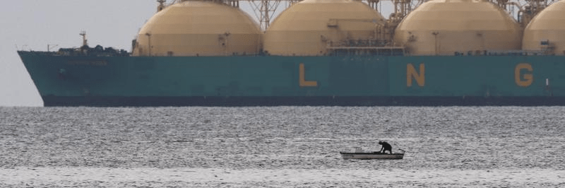 imagen_2024-12-16_103045419