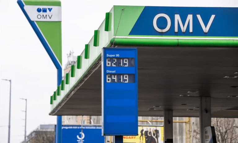 imagen_2024-12-16_103435866