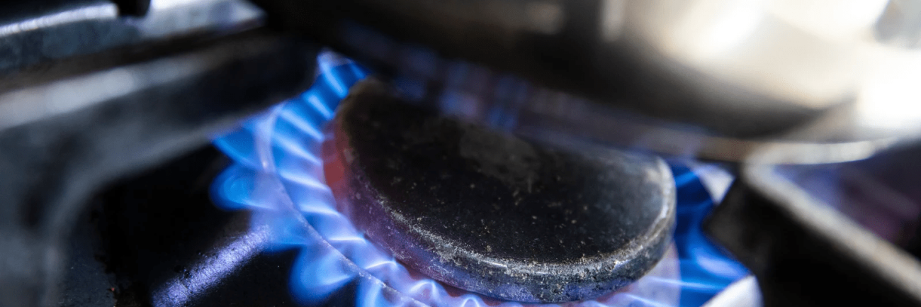 imagen_2024-12-16_103831263