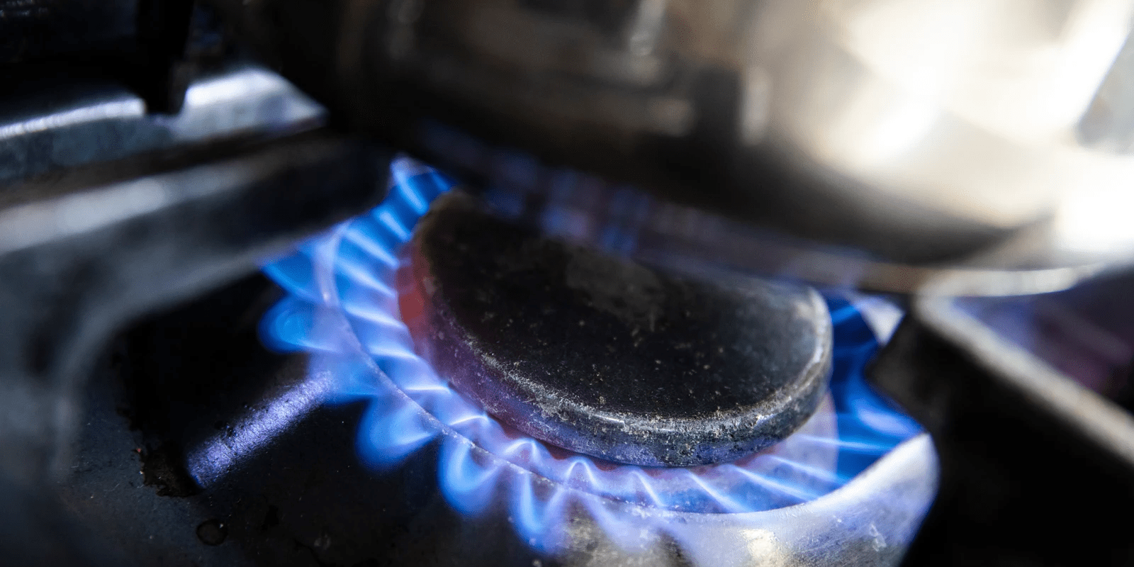 imagen_2024-12-16_103831263