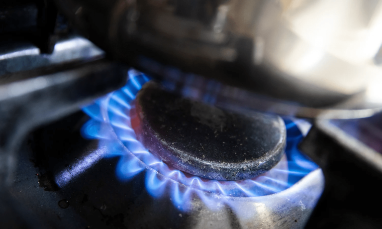 imagen_2024-12-16_103831263