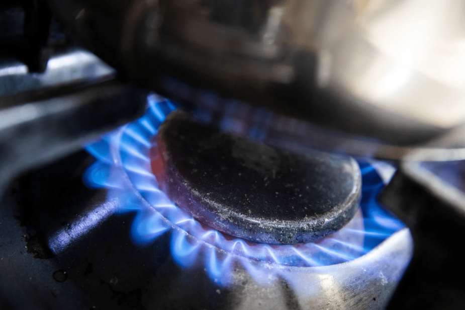 imagen_2024-12-16_103831263