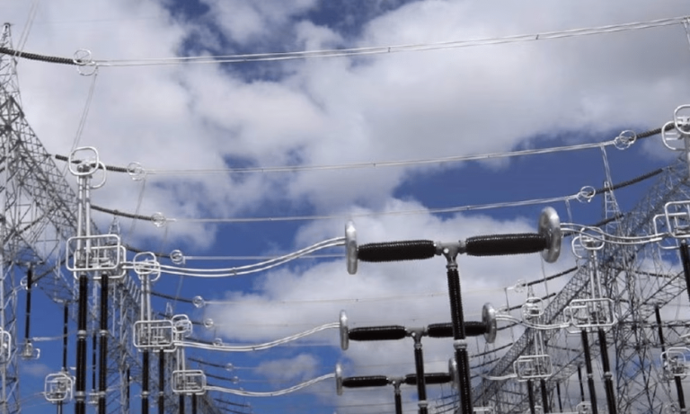 imagen_2024-12-19_111104144