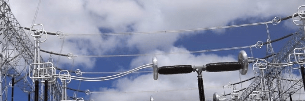 imagen_2024-12-19_111104144