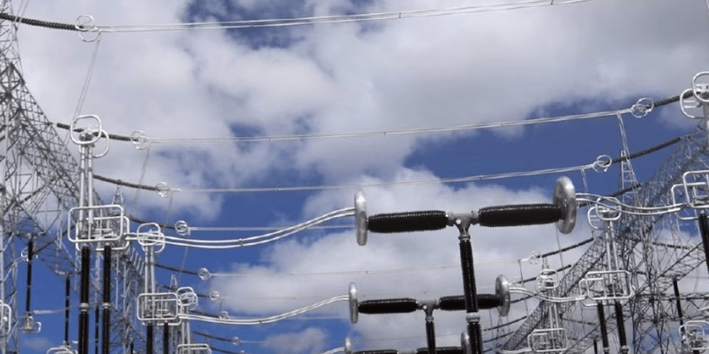 imagen_2024-12-19_111104144