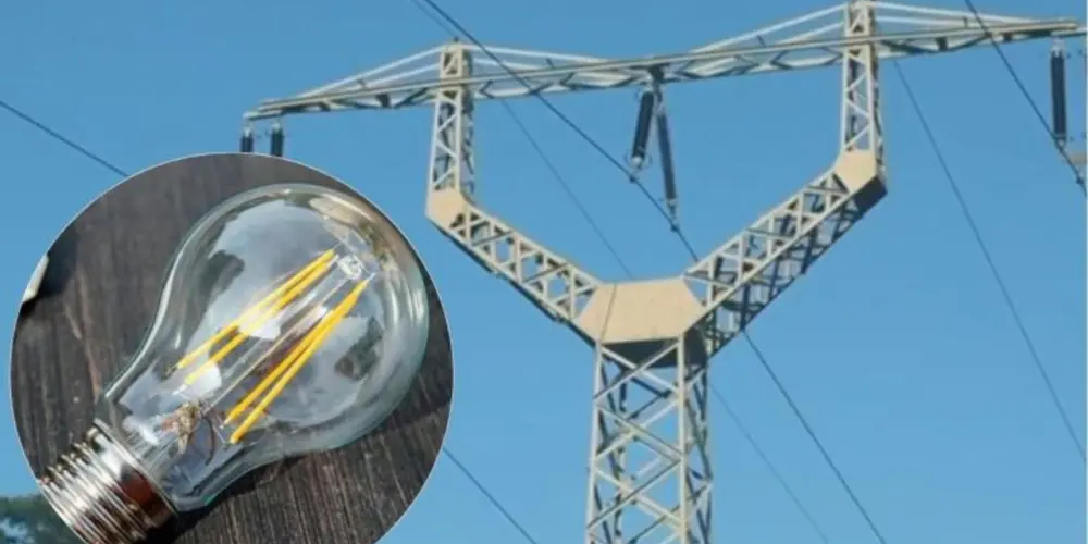 imagen_2024-12-19_111317704