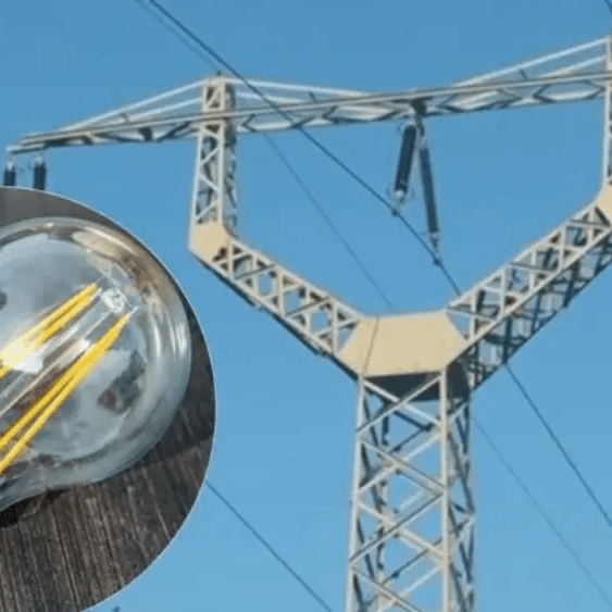 imagen_2024-12-19_111317704