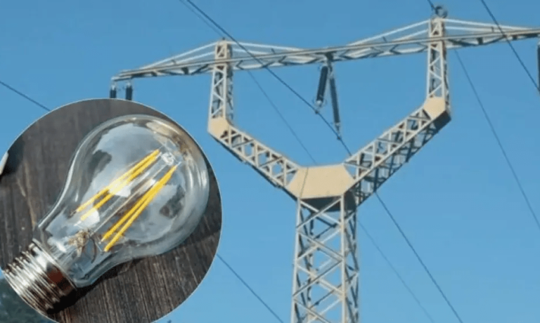 imagen_2024-12-19_111317704