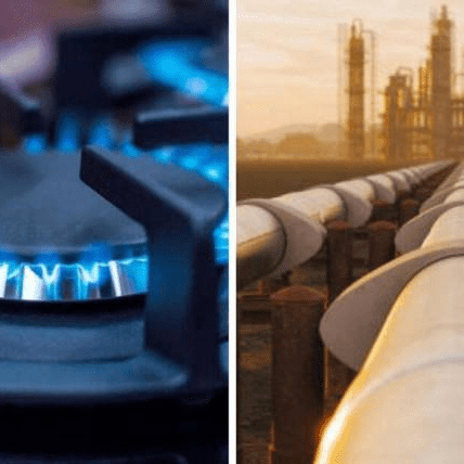 imagen_2024-12-19_111540728