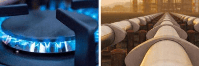 imagen_2024-12-19_111540728