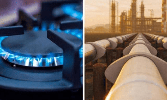 imagen_2024-12-19_111540728