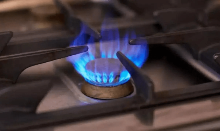 imagen_2024-12-19_122544371