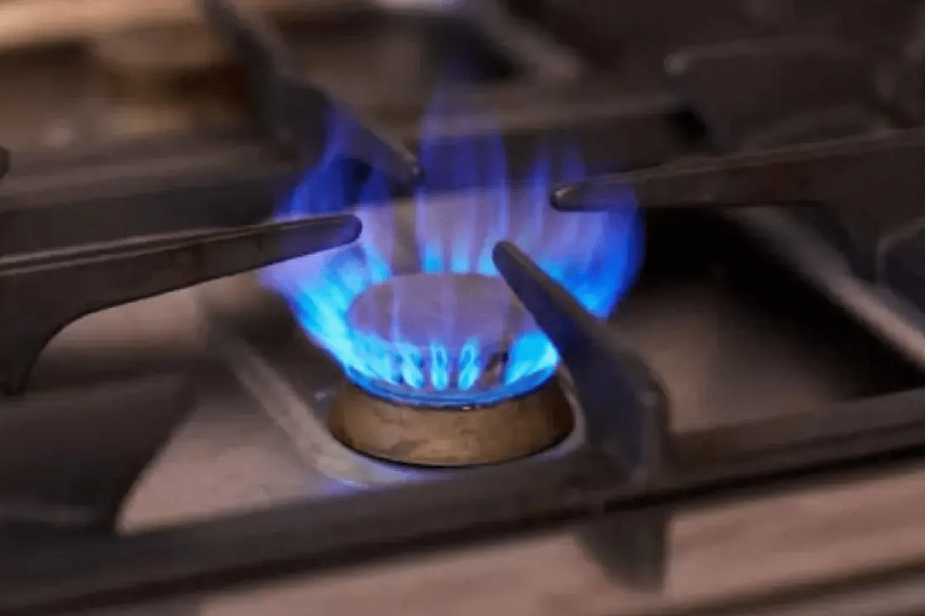 imagen_2024-12-19_122544371