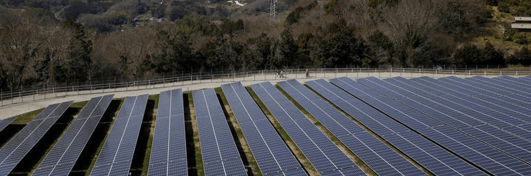 imagen_2024-12-19_124159934