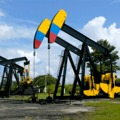 imagen_2024-12-20_111018971