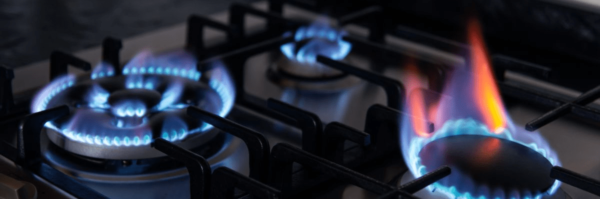 imagen_2024-12-27_161943497