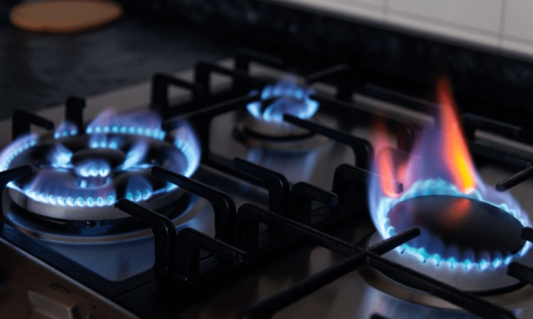 imagen_2024-12-27_161943497