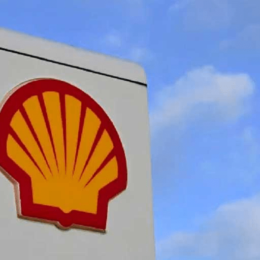 imagen_2025-01-10_142002163