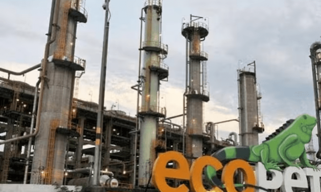 imagen_2025-01-24_124558110