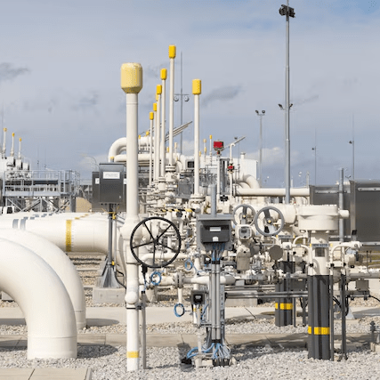 imagen_2025-01-24_130651978