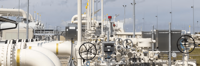 imagen_2025-01-24_130651978