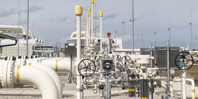 imagen_2025-01-24_130651978