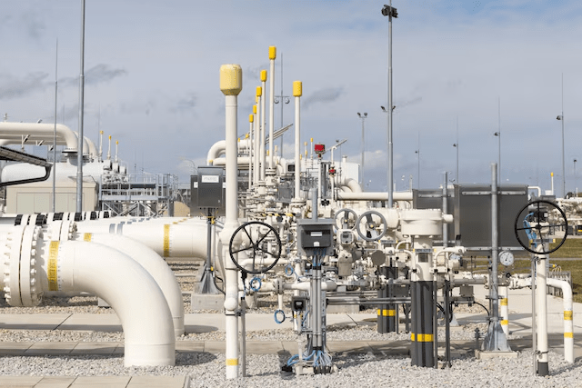 imagen_2025-01-24_130651978