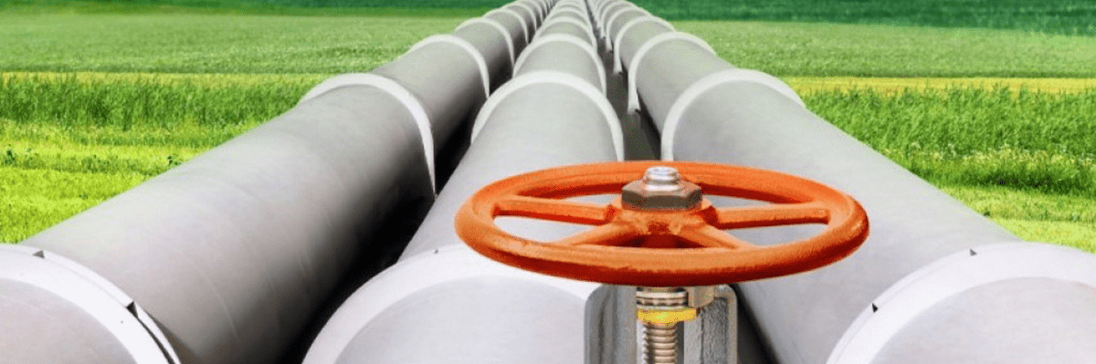 imagen_2025-01-31_122131591