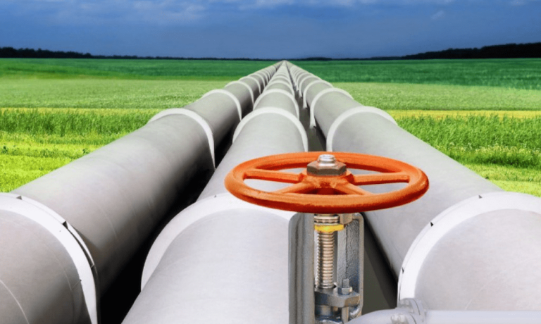 imagen_2025-01-31_122131591