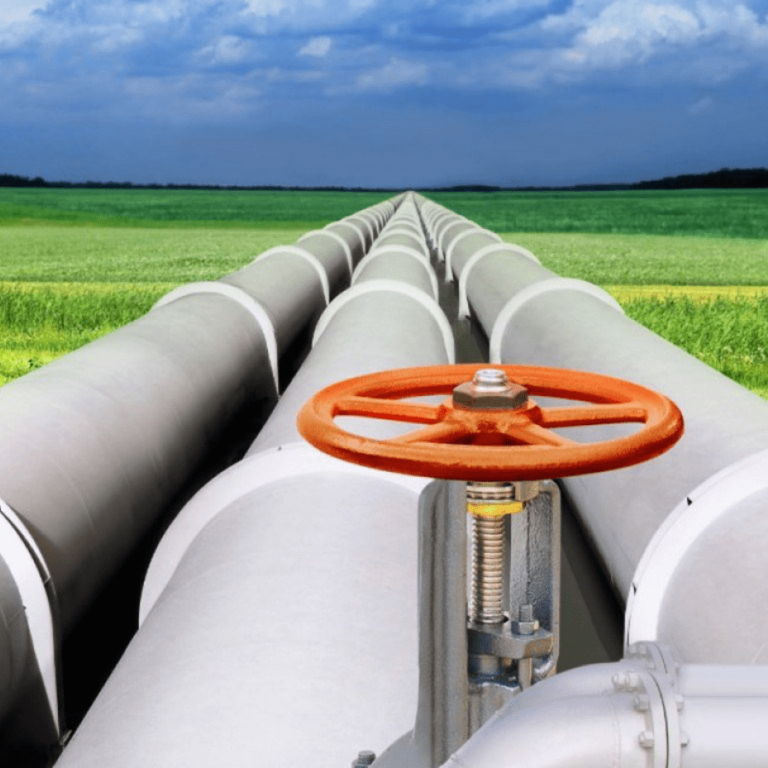 imagen_2025-01-31_122131591