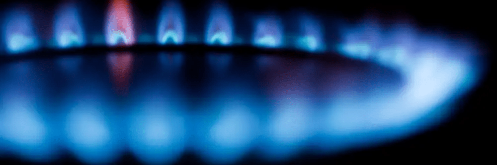 imagen_2025-02-10_213415656