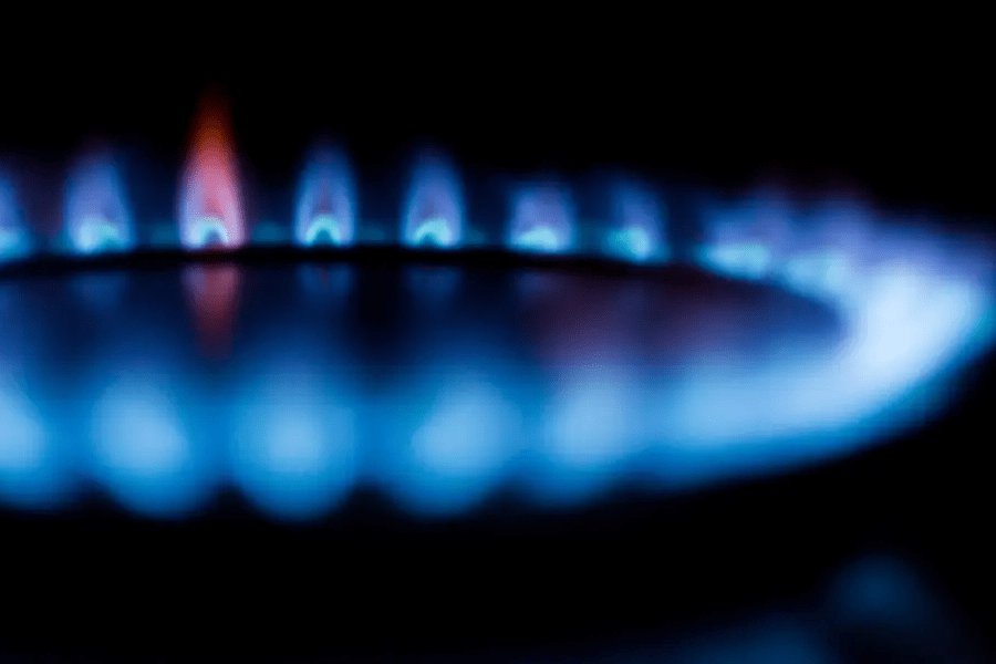 imagen_2025-02-10_213415656