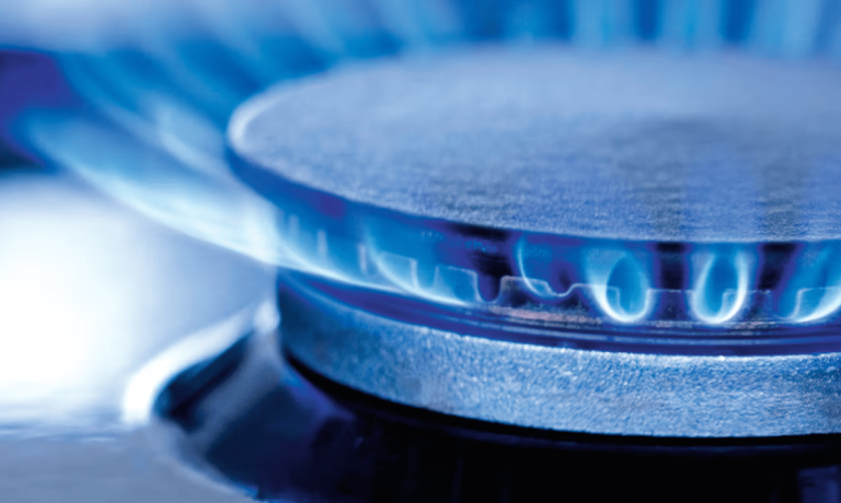 imagen_2025-02-10_215908771