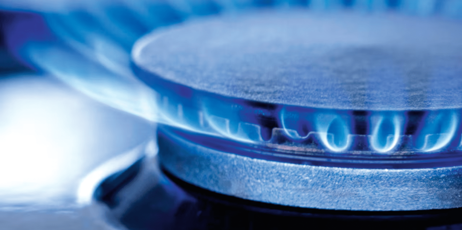 imagen_2025-02-10_215908771