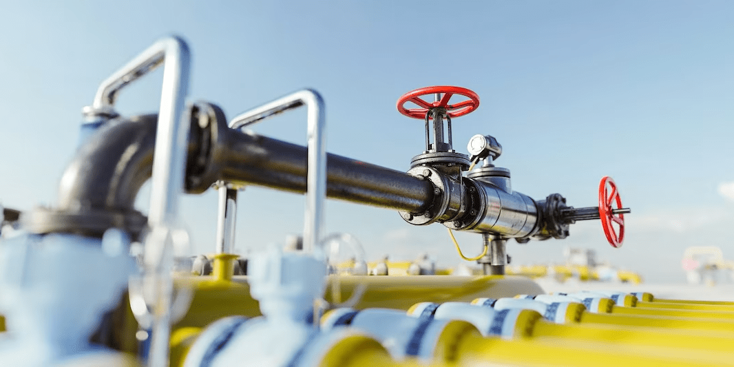 imagen_2025-02-10_220214780