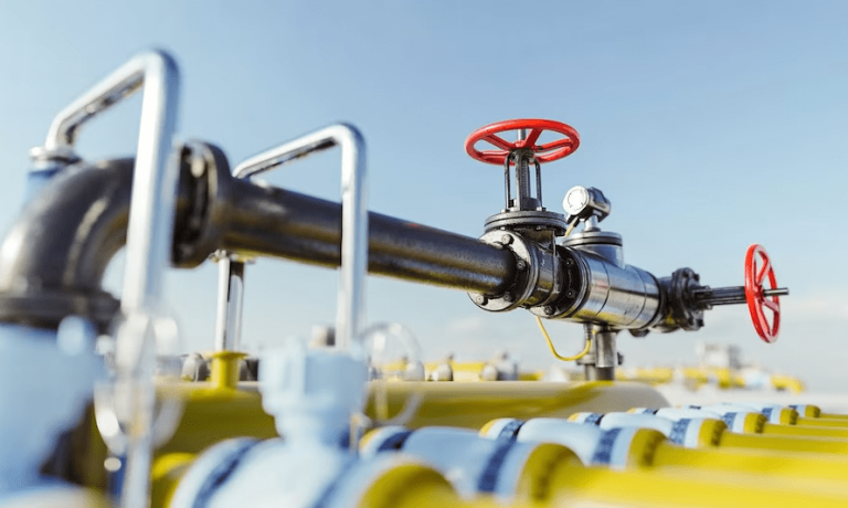 imagen_2025-02-10_220214780