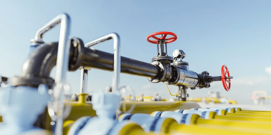 imagen_2025-02-10_220214780