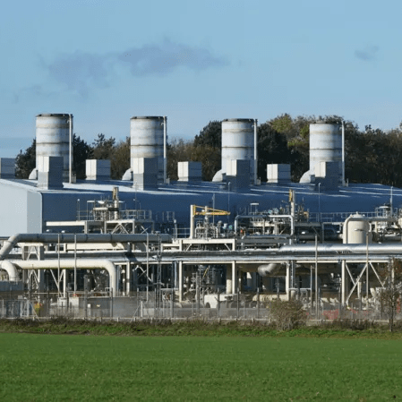 imagen_2025-02-10_221729071