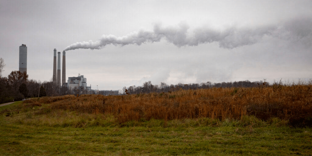 imagen_2025-03-14_162108136