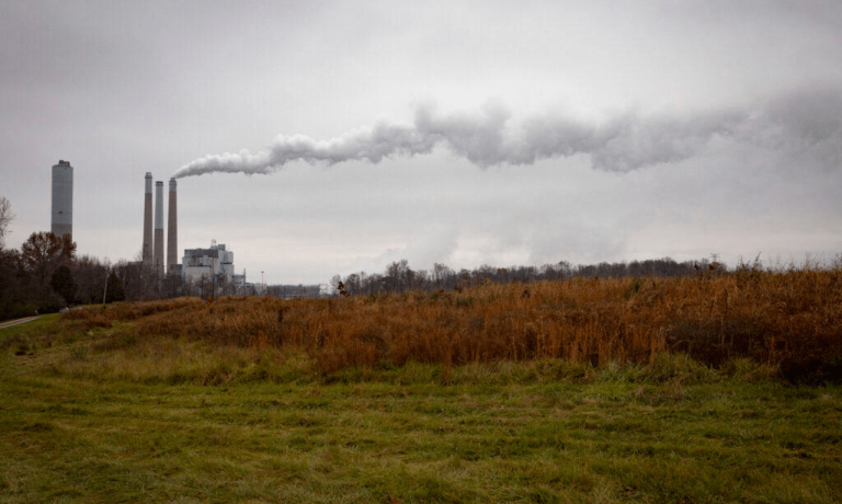 imagen_2025-03-14_162108136