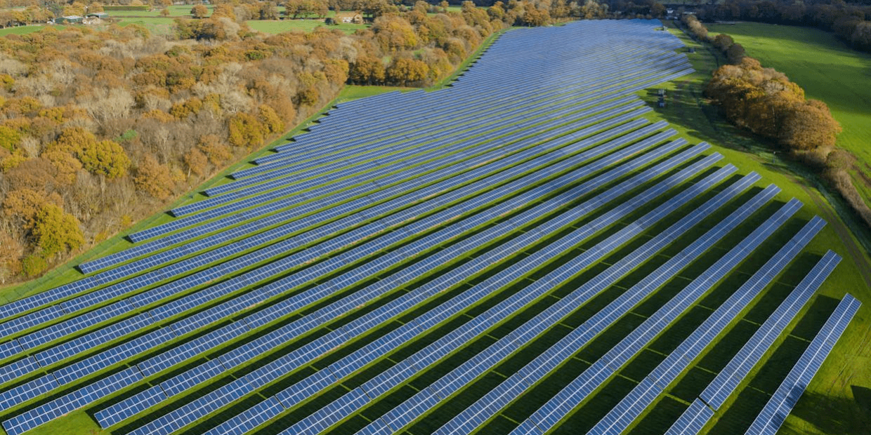 imagen_2025-03-14_162832010